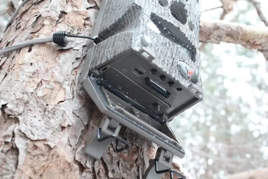 Choosing the Right SD Card for Your Trail Camera Trail Cam Junkie