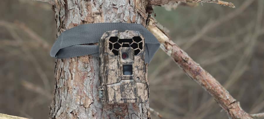 TRAIL CAMERA PICTURE THREAD visual data 8