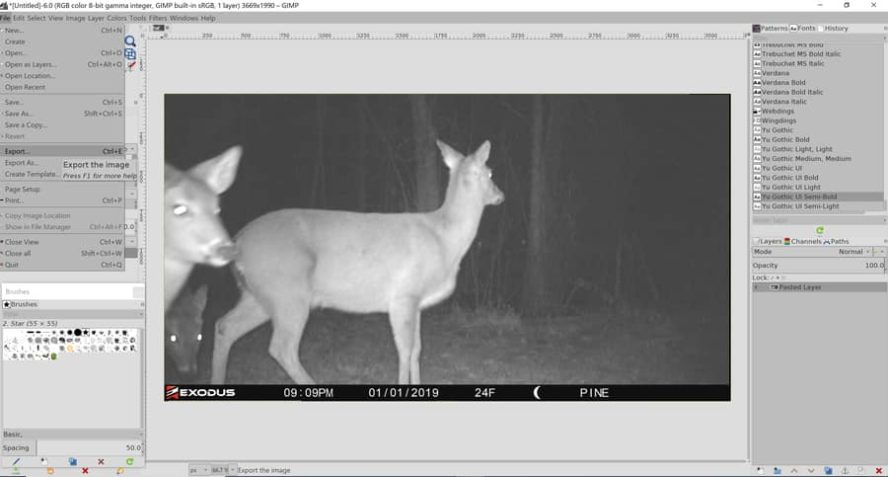 Extract a Photo From A Trail Camera Video: A Helpful Illustrated Guide – Trail Cam Junkie
