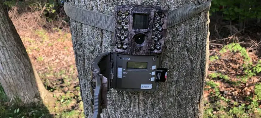 How To Format An SD Card In A Trail Camera Trail Cam Junkie