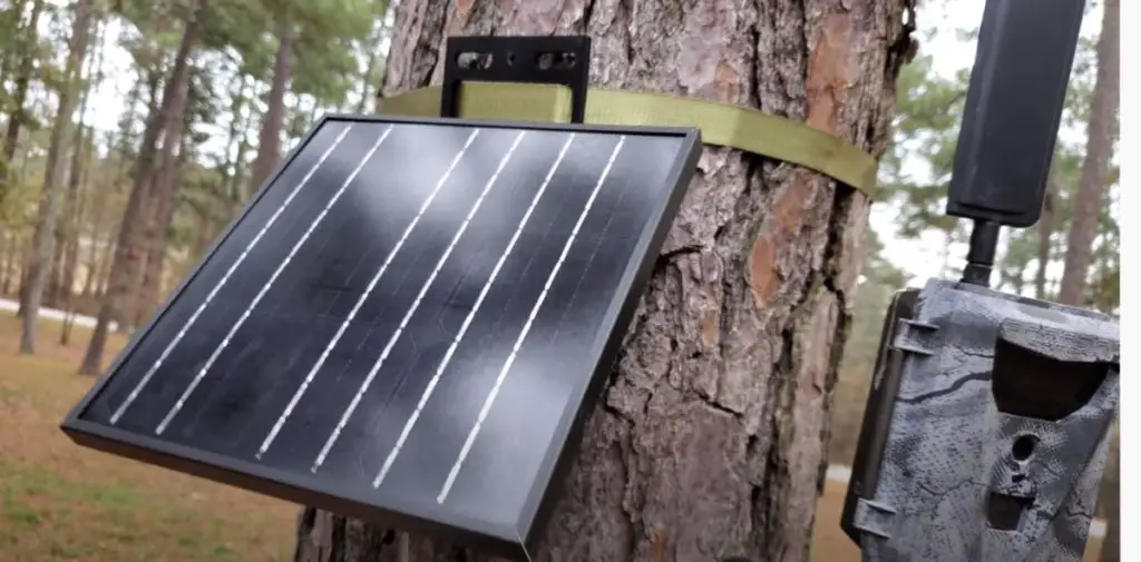 Using Solar Panels With A Trail Camera – Trail Cam Junkie