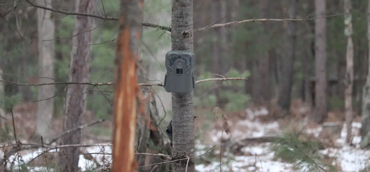 weg te verspillen Afstoten klap How Trail Cameras Work – Trail Cam Junkie