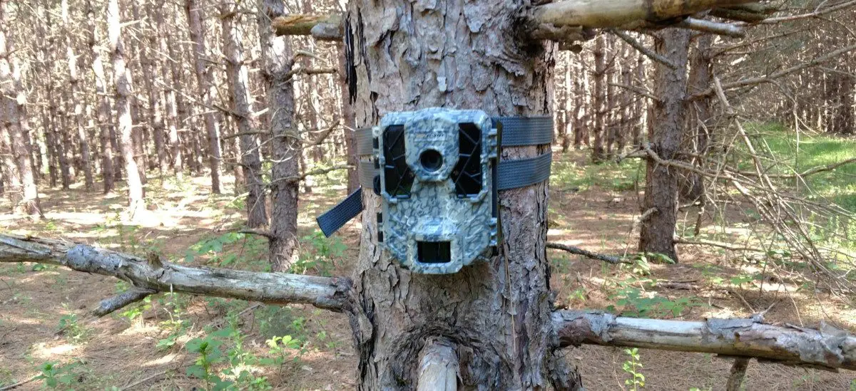 Spypoint Force Dark Review Trail Cam Junkie