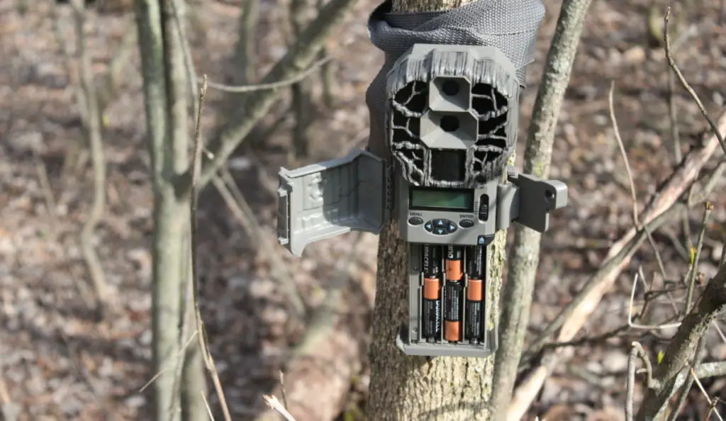 Trail Camera Wont Turn On? Here Is What To Do Trail Cam Junkie