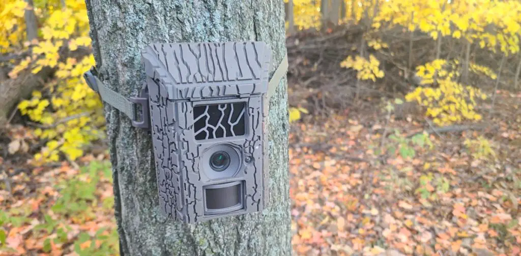 Complete Review Of The Lone Wolf Undercover Trail Camera Trail Cam Junkie