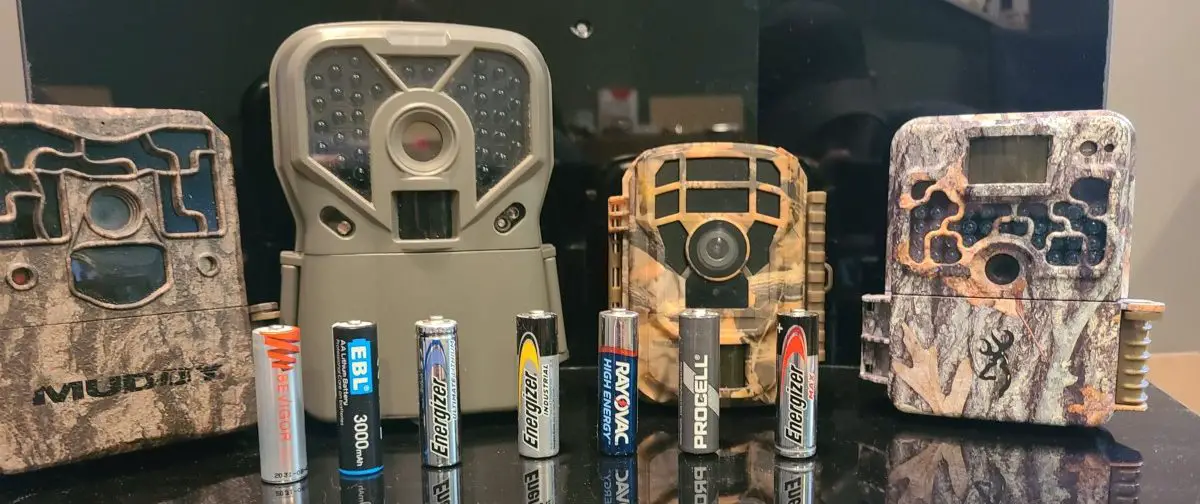 best aa batteries trail camera cold weather best aa batteries trail camera cold weather