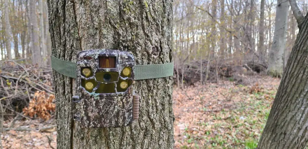 Browning Strike Force Full HD trail camera strapped to a tree