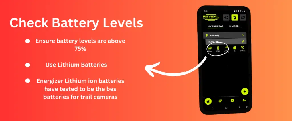 Check trail camera batteries